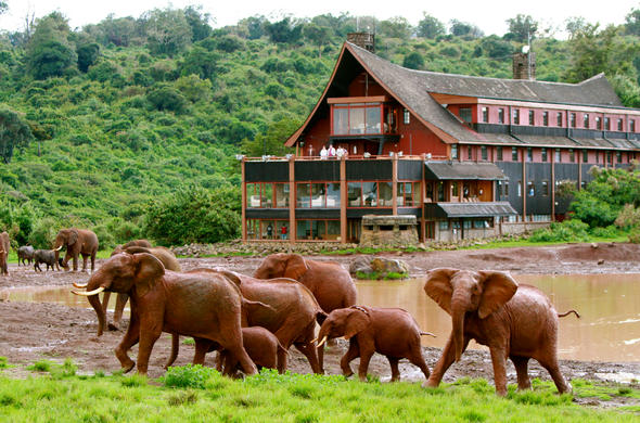 Nairobi National Park
